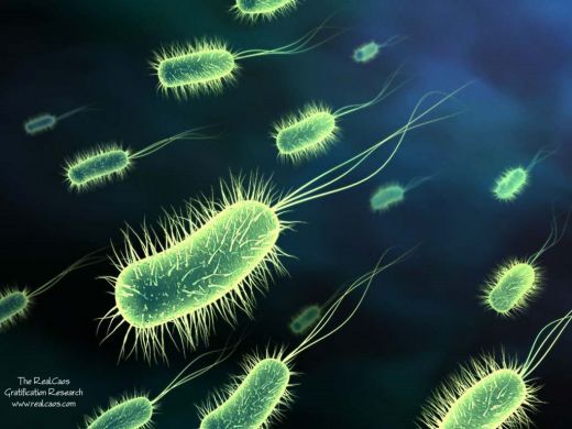 superbug-bacteria-find-india-water.jpg